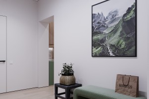 One-Bedroom Apartment in Minimalist Style, 2023, Astana