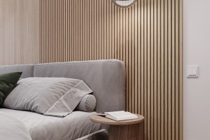 One-Bedroom Apartment in Minimalist Style, 2023, Astana