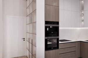 Buqar Jyray Exclusive Residential Complex, 2024, Astana