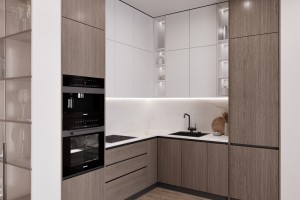 Buqar Jyray Exclusive Residential Complex, 2024, Astana